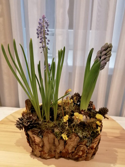 ФЛОРИСТИКА «Флористические композиции»